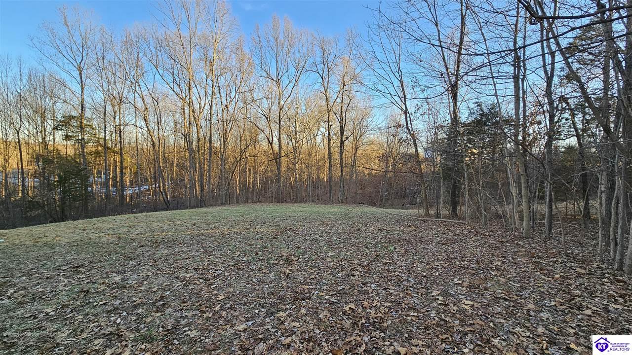 Listing Picture 206 S Boundary Road Elizabethtown, KY 42701 MLS HK25000279