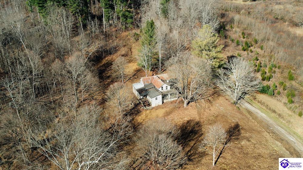 TRACT 1 39 Newton LaneFordsville, KY 42343