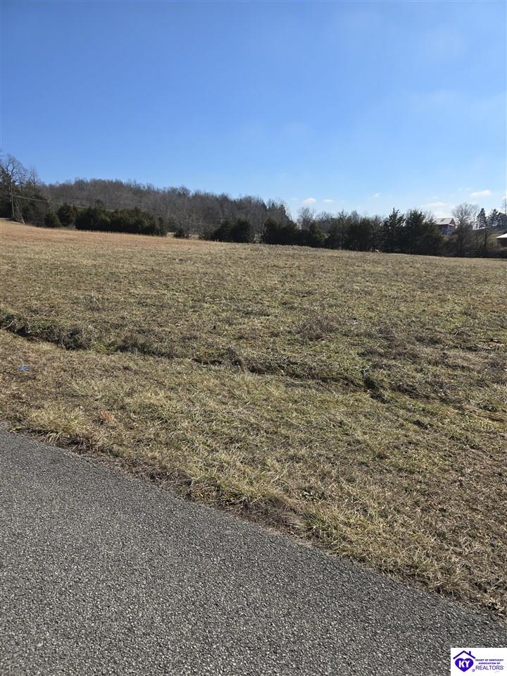 Lot 43 Aberdeen Road Upton, KY 42784 #1