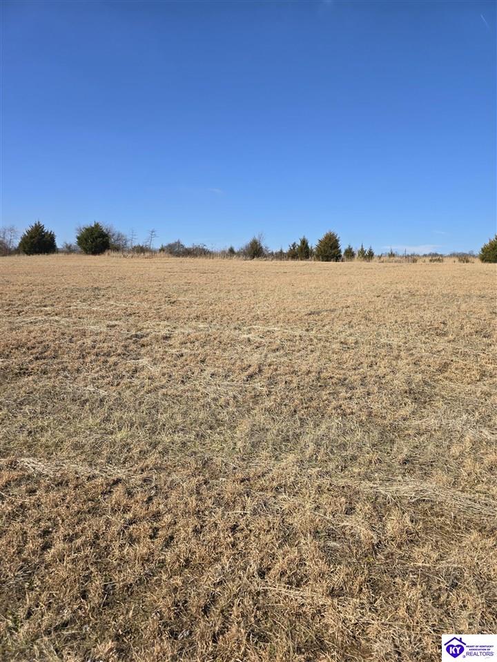 Lot 9 Kildare Court Upton, KY 42784 #1