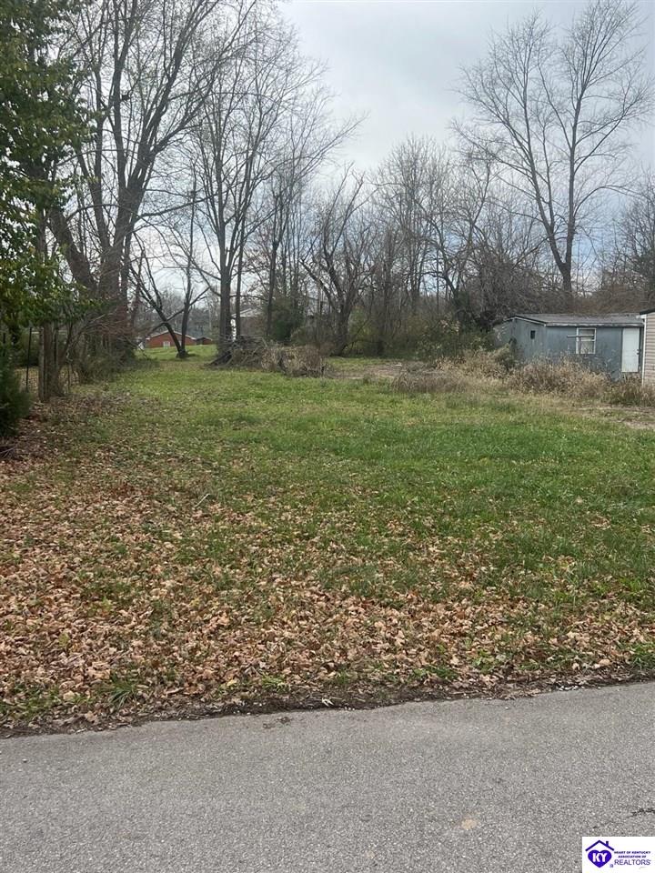 523 Kirkpatrick AvenueHodgenville, KY 42748