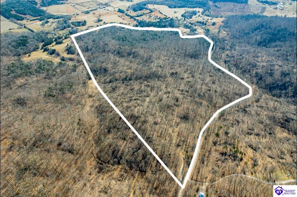 Frenchman Knob RoadMunfordville, KY 42765