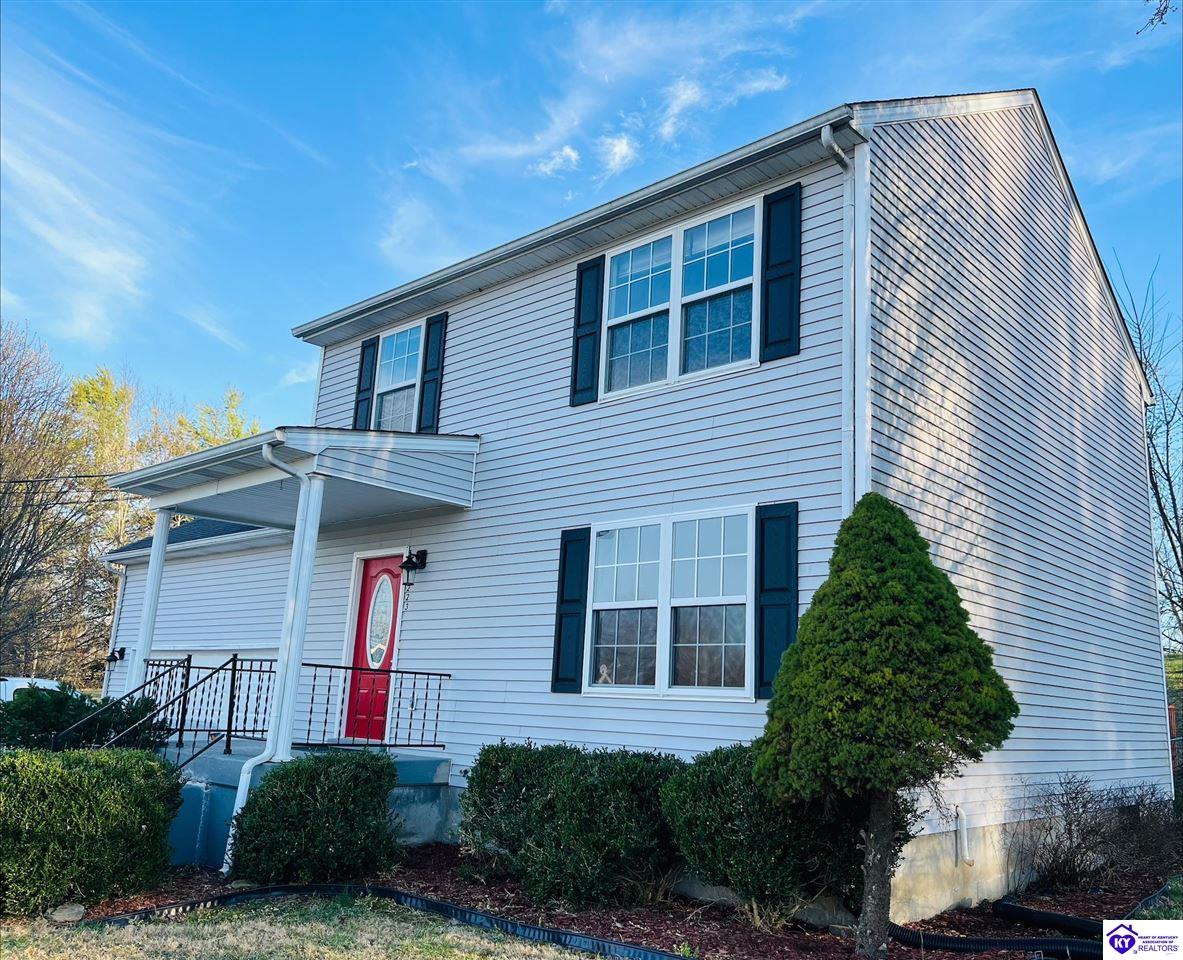 223 Lea CourtRineyville, KY 40162