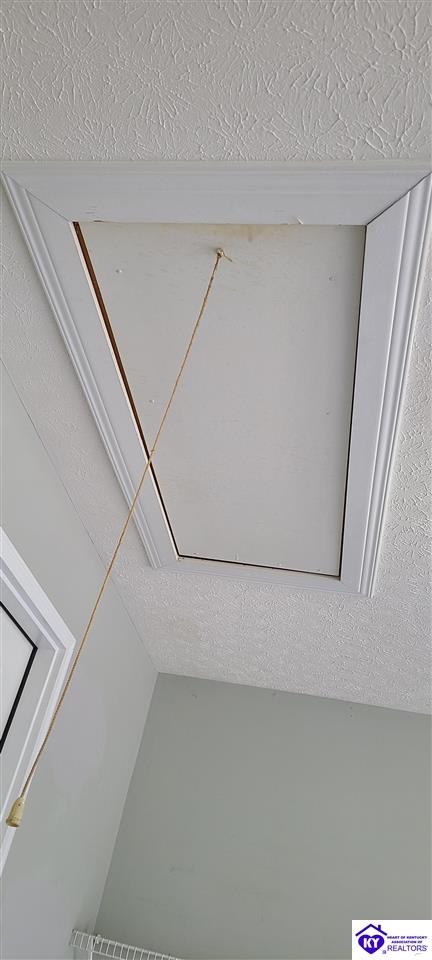 Listing Picture 305 Woebegona Way Hodgenville, KY 42748 MLS HK25000443