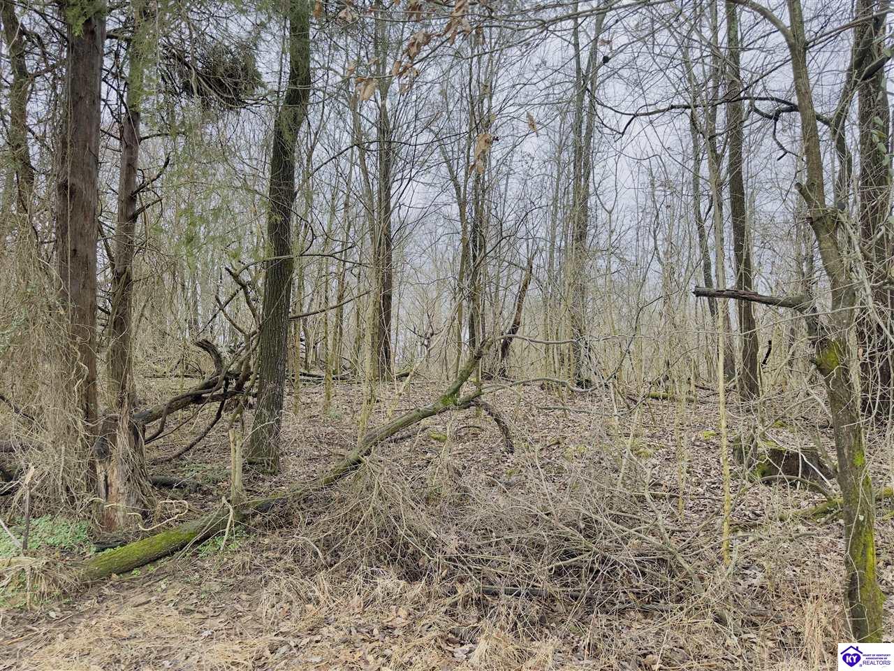 372 Lee RoadVine Grove, KY 40175