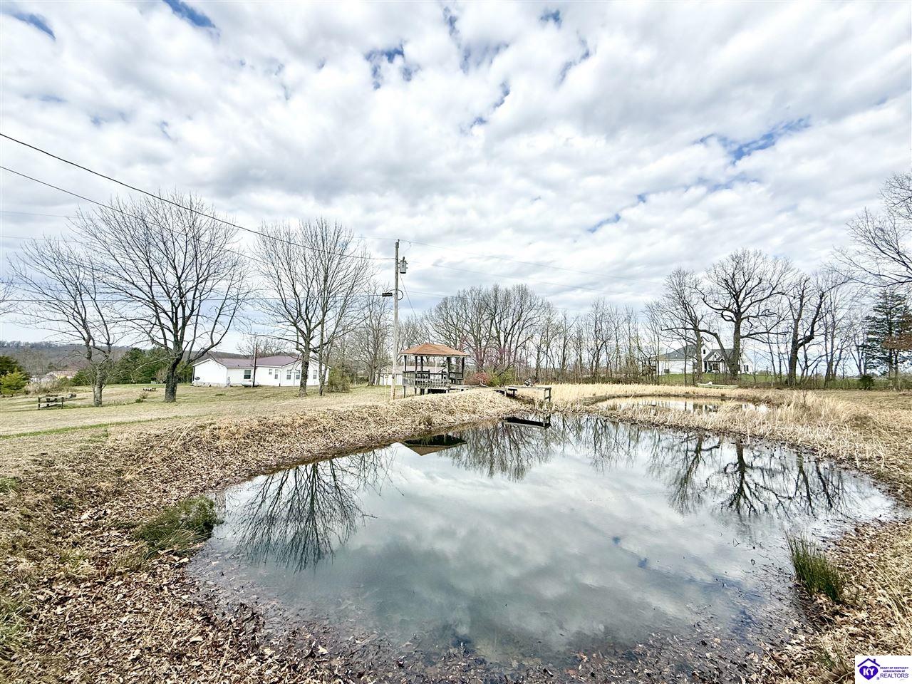 Listing Picture 95 Webster Way McDaniels, KY 40152 MLS HK25000454