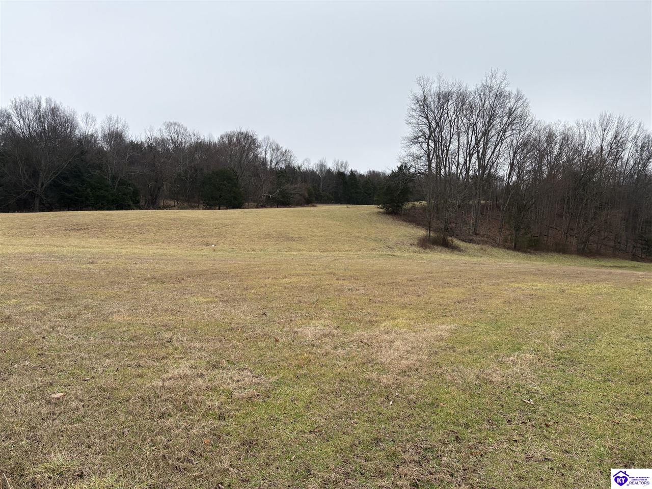 600 Cora Wilborn RoadSummer Shade, KY 42166