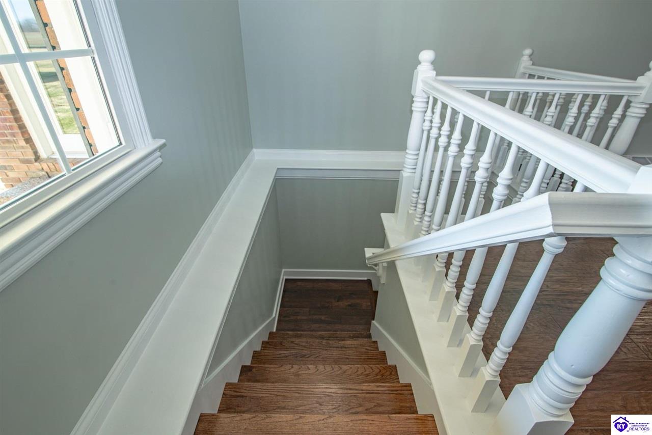 picture-gallery