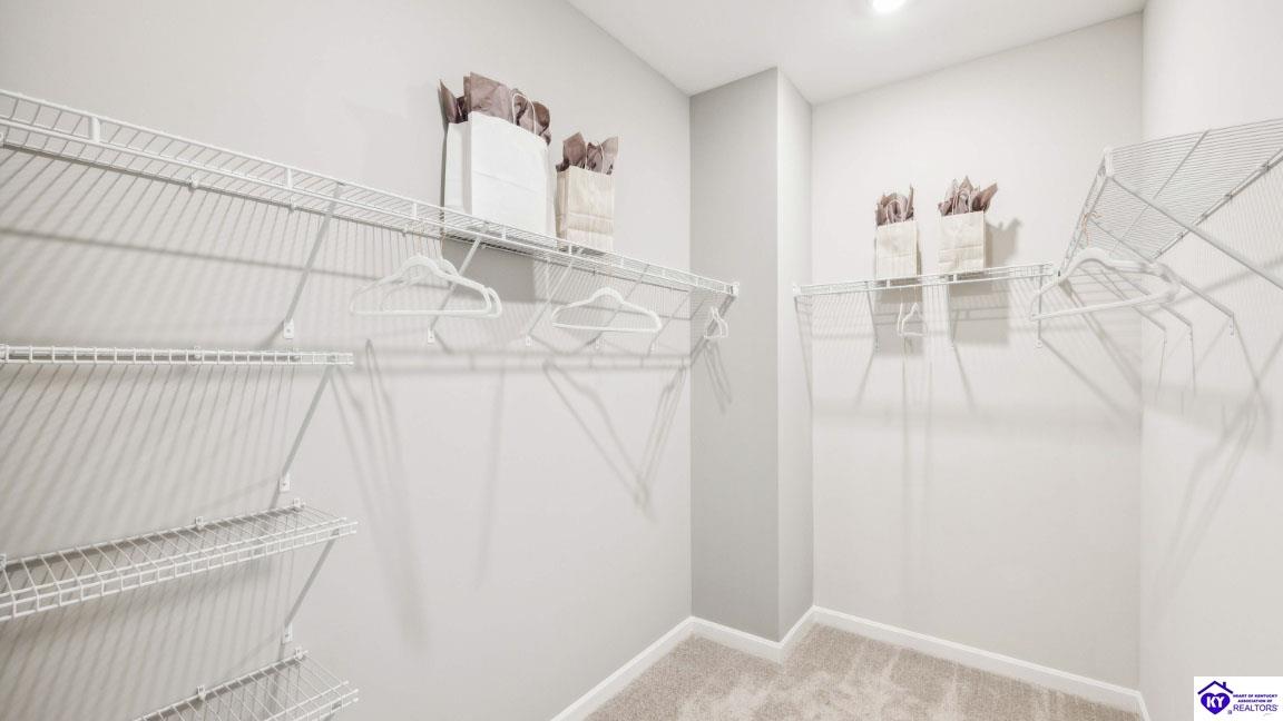 Listing Picture 113 Miles Pass Elizabethtown, KY 42701 MLS HK25000471