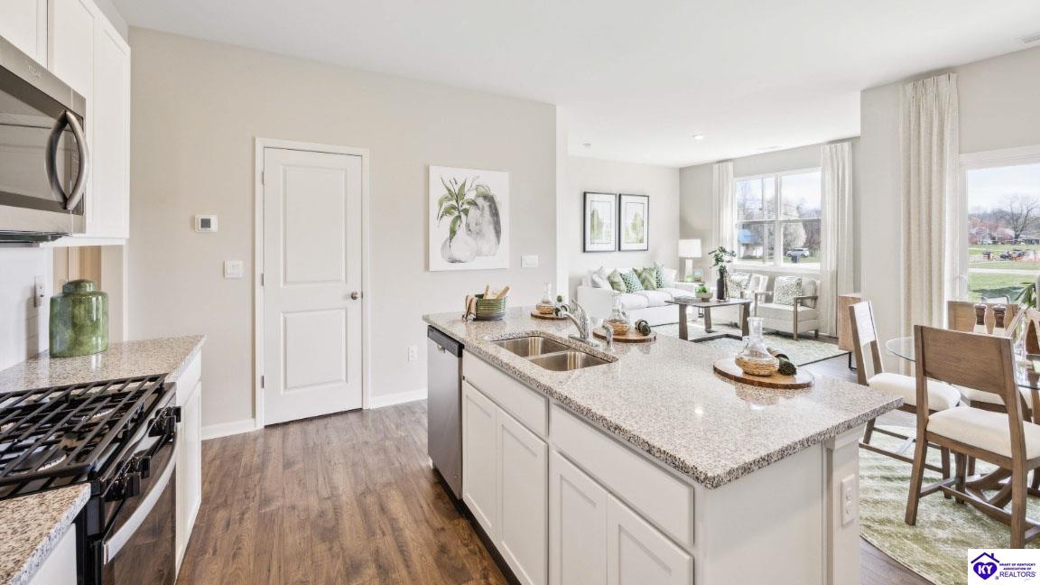 Listing Picture 113 Miles Pass Elizabethtown, KY 42701 MLS HK25000471