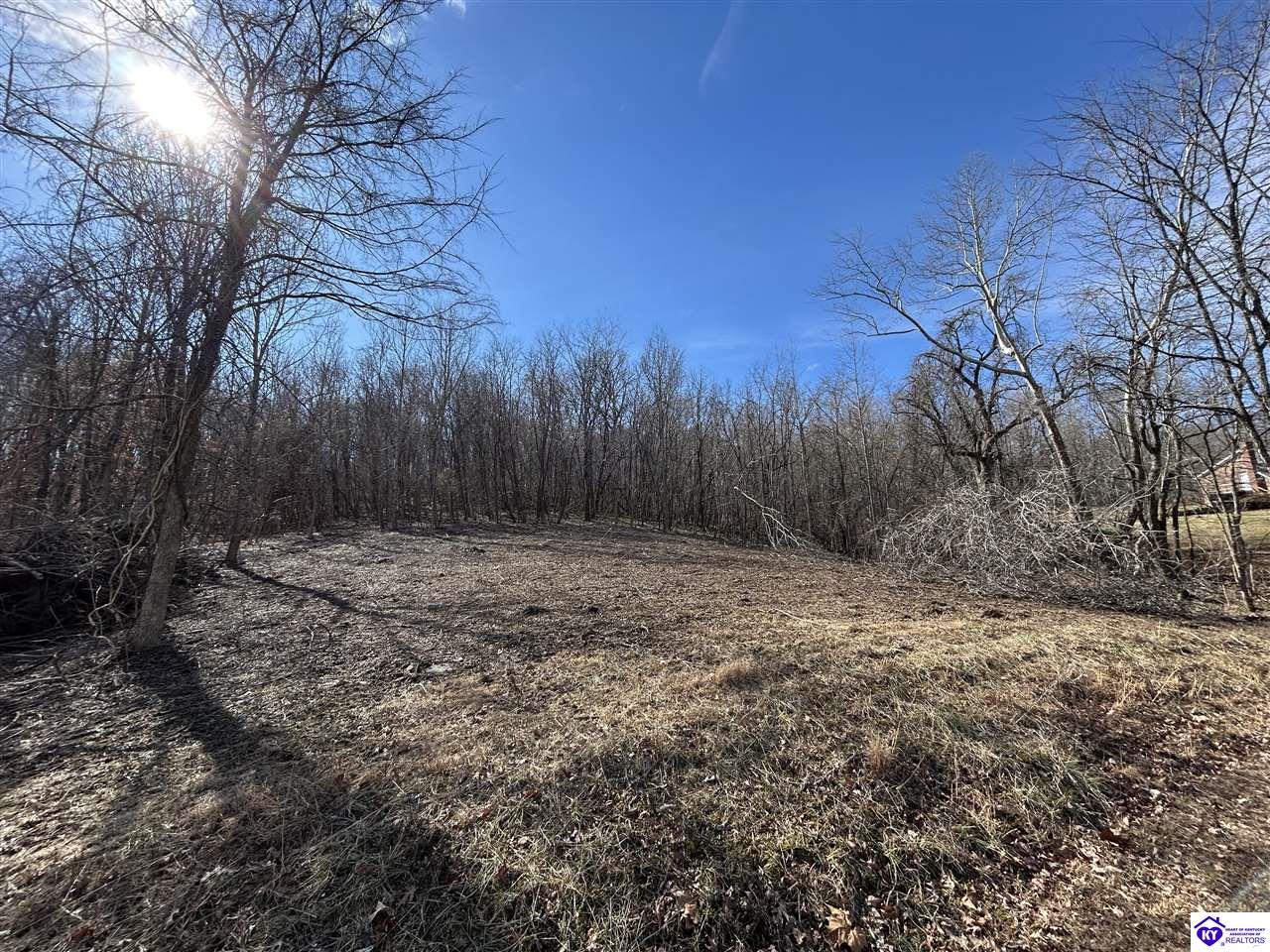 5 Swan Lake Estates LoopHardinsburg, KY 40143