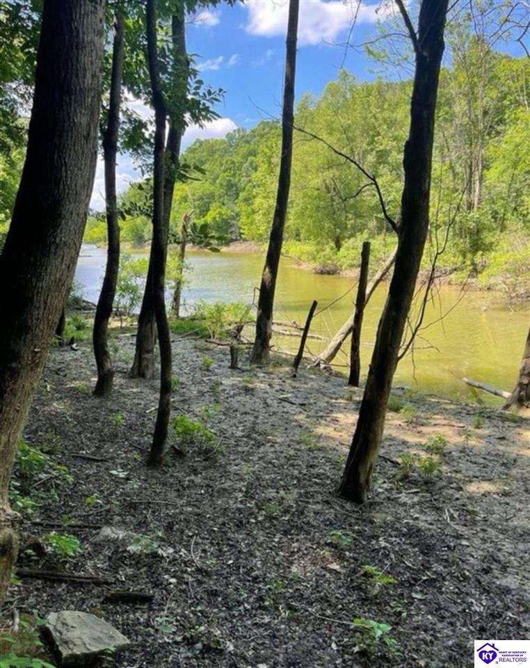 992 J M Mercer Campsite RoadHudson, KY 40145