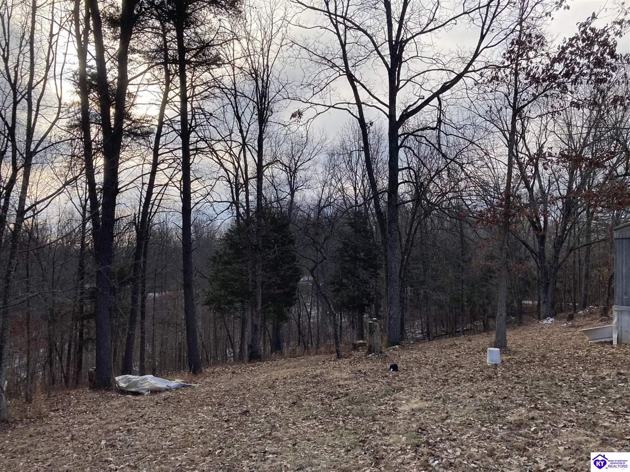 Listing Picture 2274 Silver Mine Road Sonora, KY 42776 MLS HK25000524