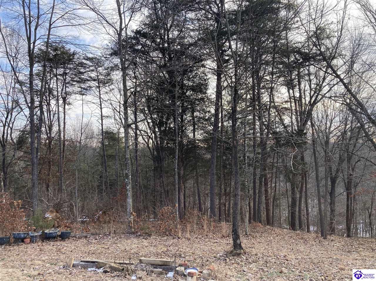 Listing Picture 2274 Silver Mine Road Sonora, KY 42776 MLS HK25000524