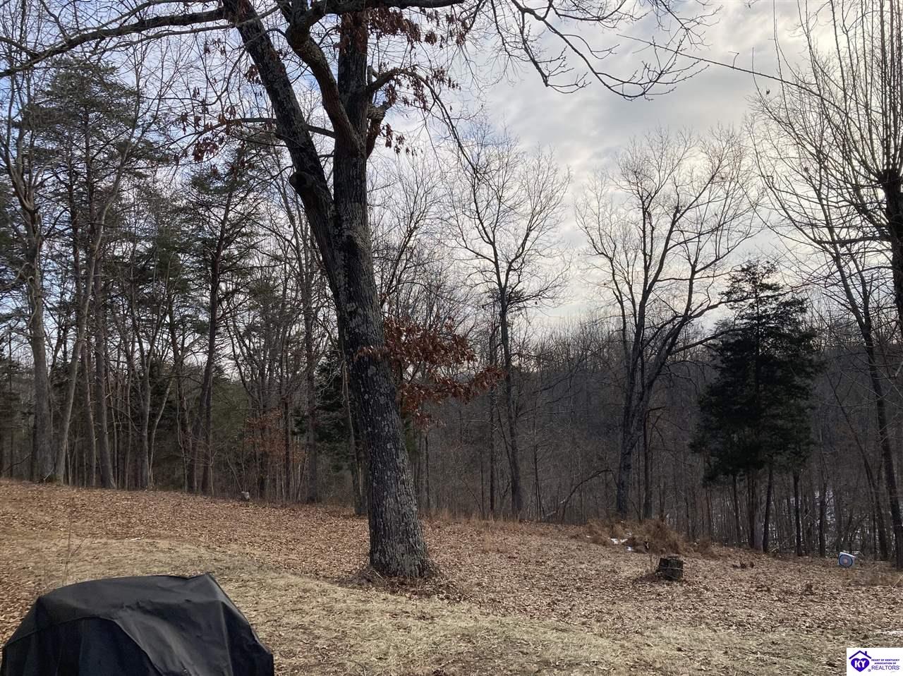 Listing Picture 2274 Silver Mine Road Sonora, KY 42776 MLS HK25000524