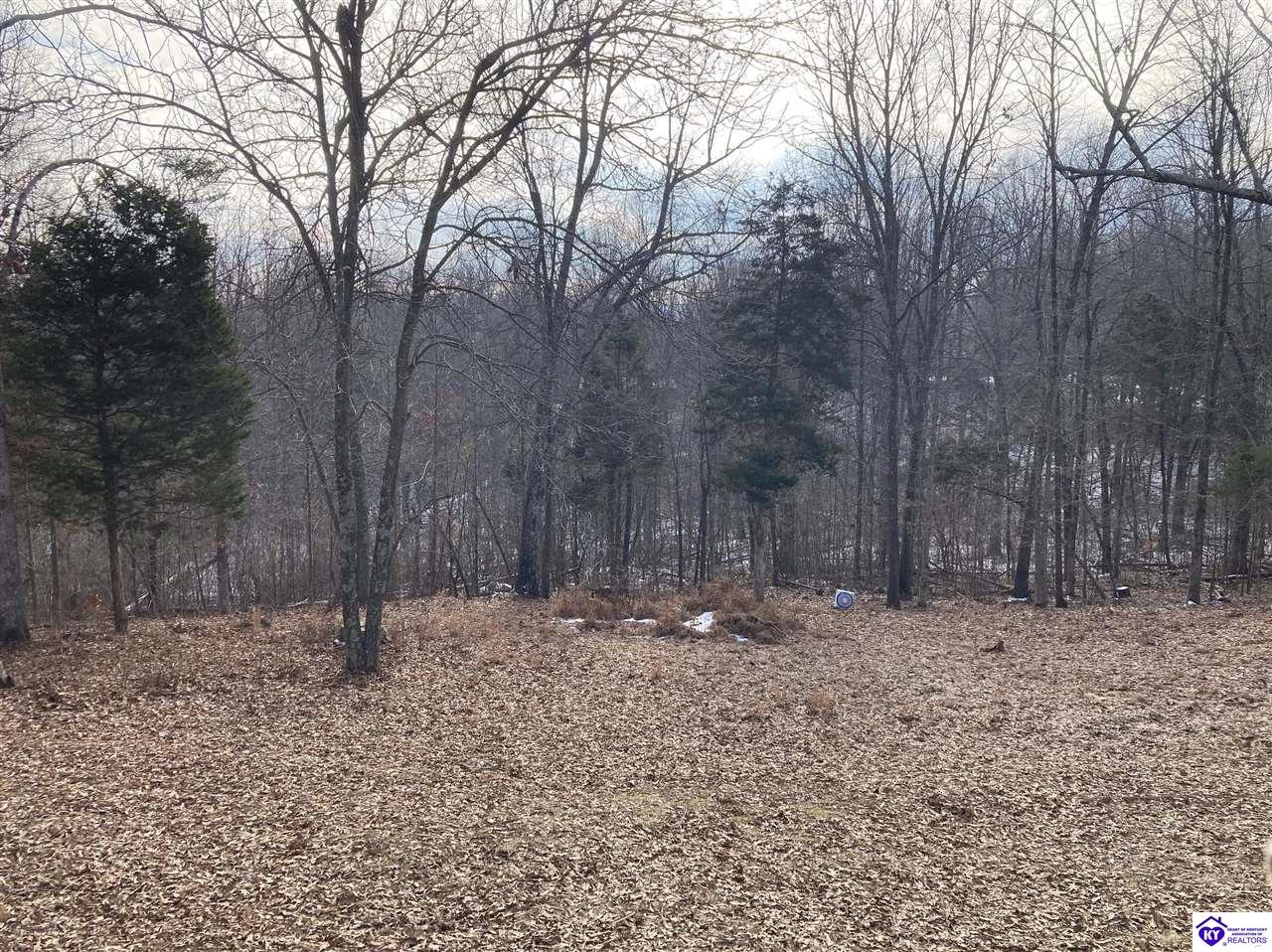 Listing Picture 2274 Silver Mine Road Sonora, KY 42776 MLS HK25000524