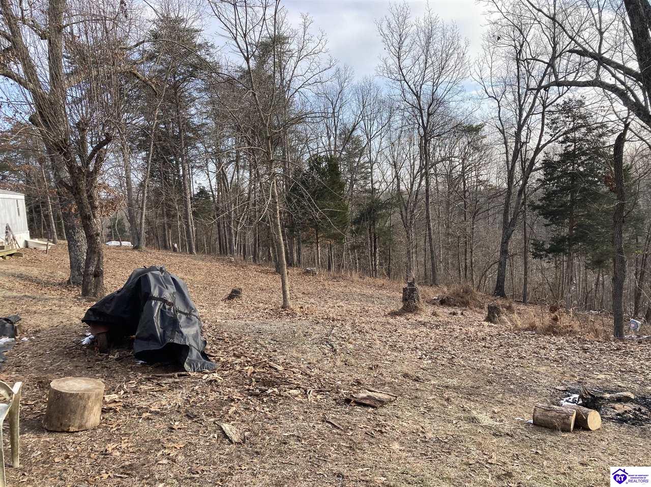 Listing Picture 2274 Silver Mine Road Sonora, KY 42776 MLS HK25000524