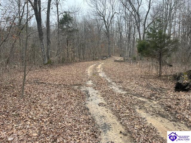 1 Attilla Road Campbellsville, KY 42748 #1