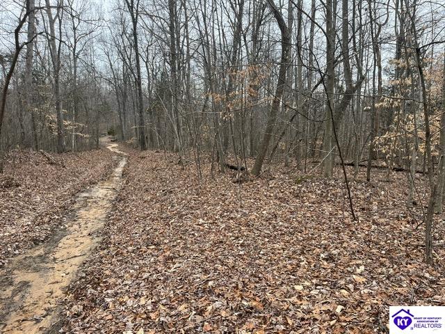 1 Attilla Road Campbellsville, KY 42748 #2