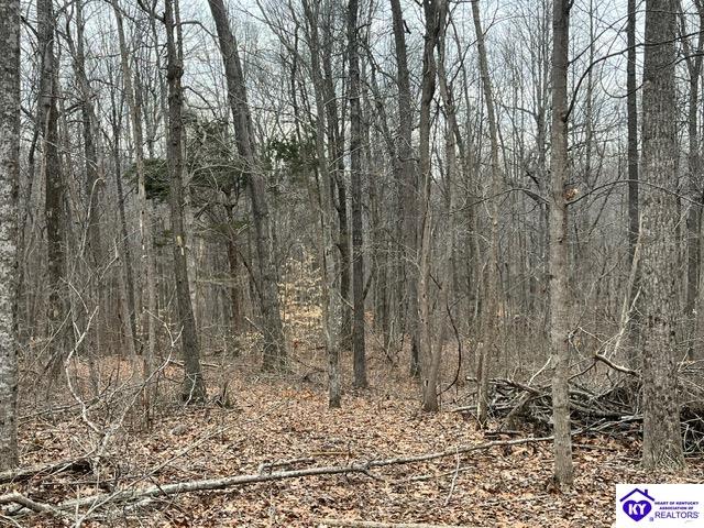 1 Attilla Road Campbellsville, KY 42748 #3