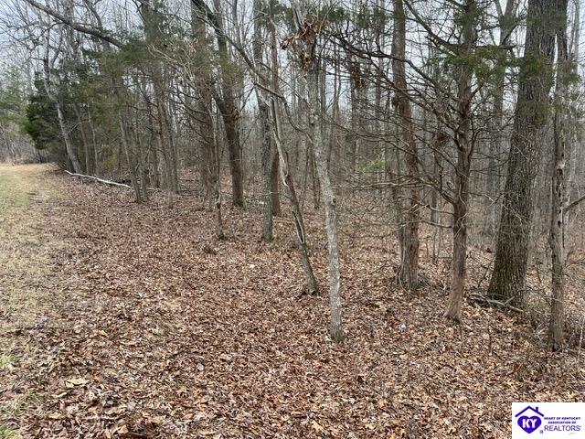1 Attilla Road Campbellsville, KY 42748 #4