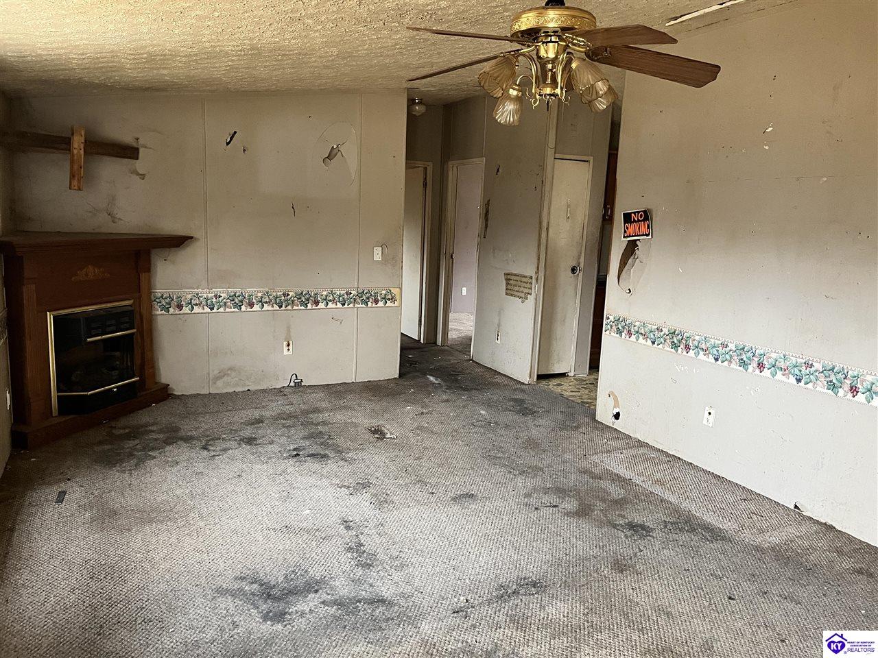 Listing Picture 196 Bolton School Road Bonnieville, KY 42713 MLS HK25000563