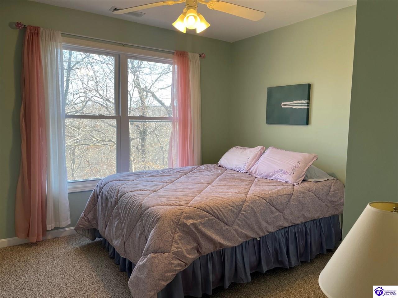 Listing Picture 216 Peter Cave Heights Leitchfield, KY 42754 MLS HK25000569