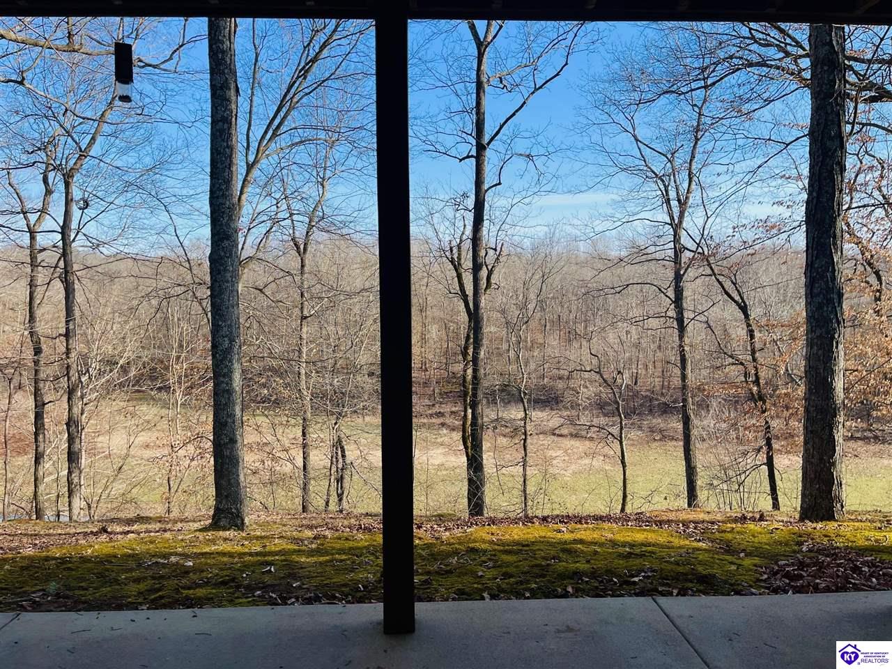 Listing Picture 216 Peter Cave Heights Leitchfield, KY 42754 MLS HK25000569