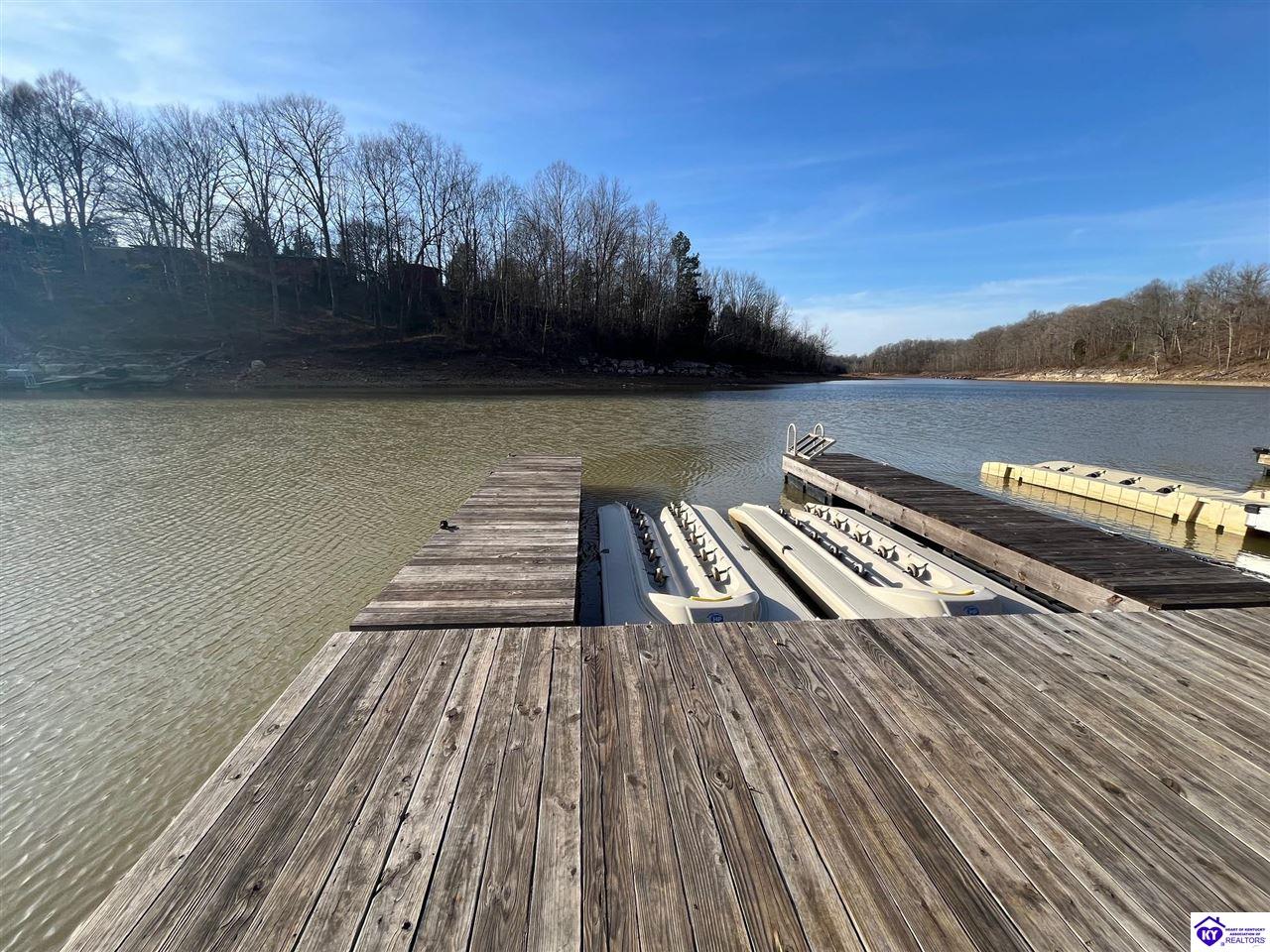 Listing Picture 216 Peter Cave Heights Leitchfield, KY 42754 MLS HK25000569