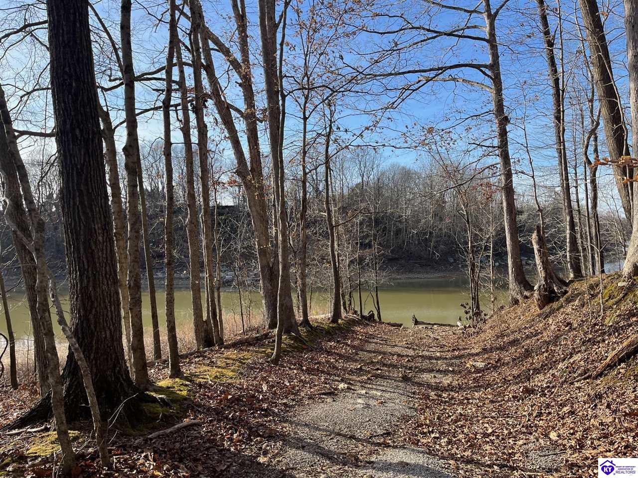 Listing Picture 216 Peter Cave Heights Leitchfield, KY 42754 MLS HK25000569