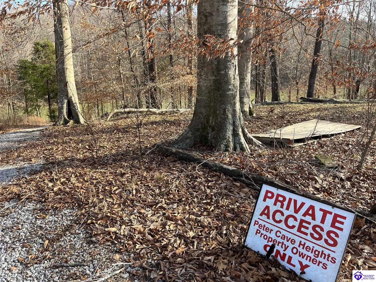 Listing Picture 216 Peter Cave Heights Leitchfield, KY 42754 MLS HK25000569