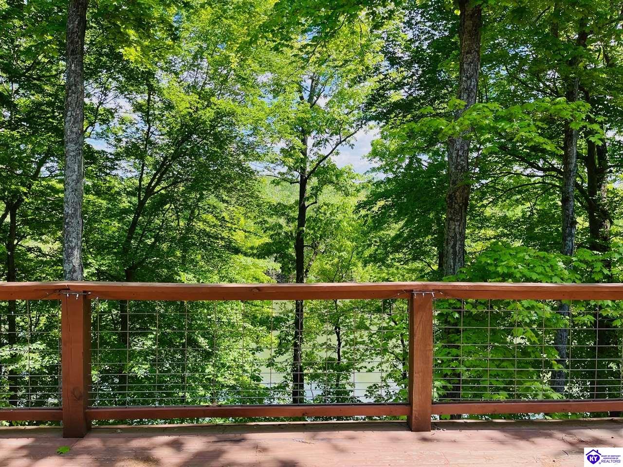 Listing Picture 216 Peter Cave Heights Leitchfield, KY 42754 MLS HK25000569