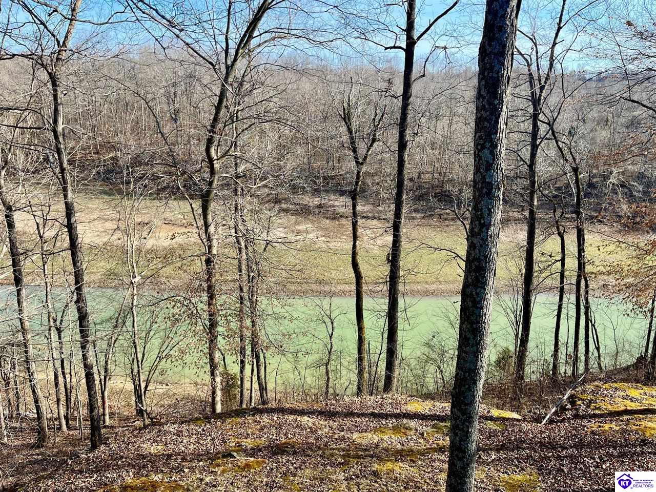 Listing Picture 216 Peter Cave Heights Leitchfield, KY 42754 MLS HK25000569