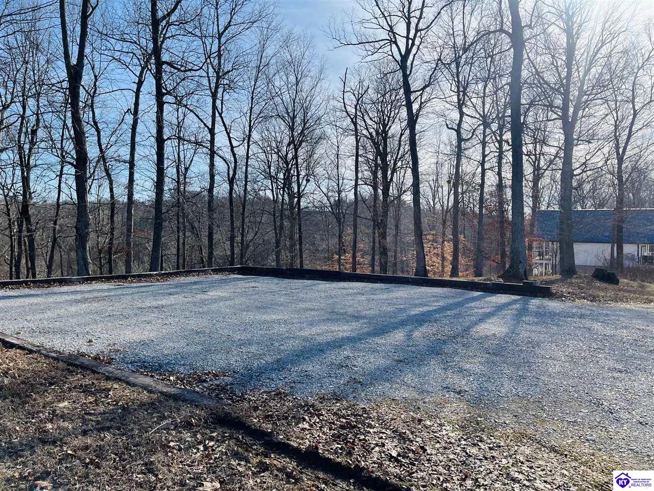 Listing Picture 216 Peter Cave Heights Leitchfield, KY 42754 MLS HK25000569