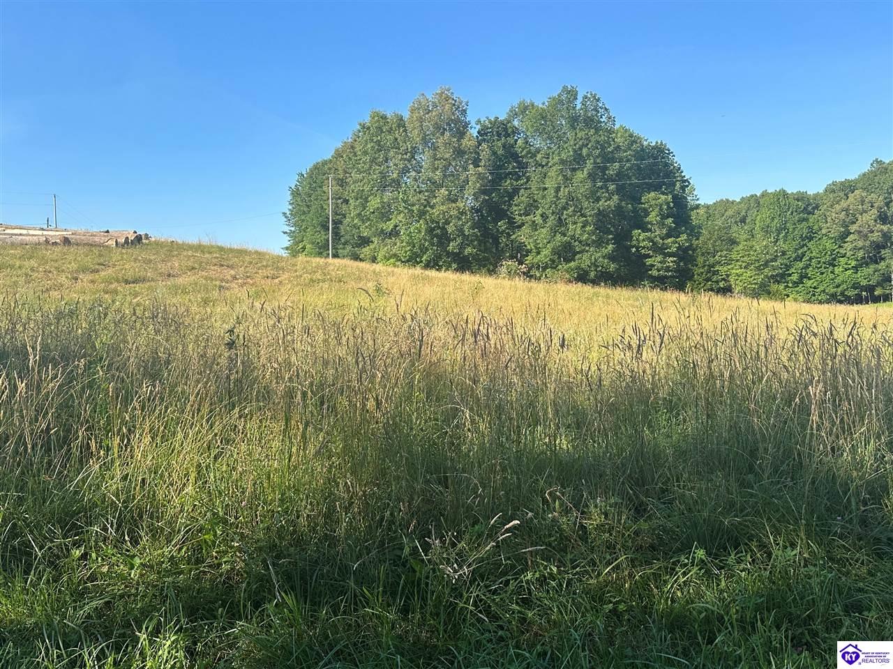 2300 Mt Sherman RoadMount Sherman, KY 42764