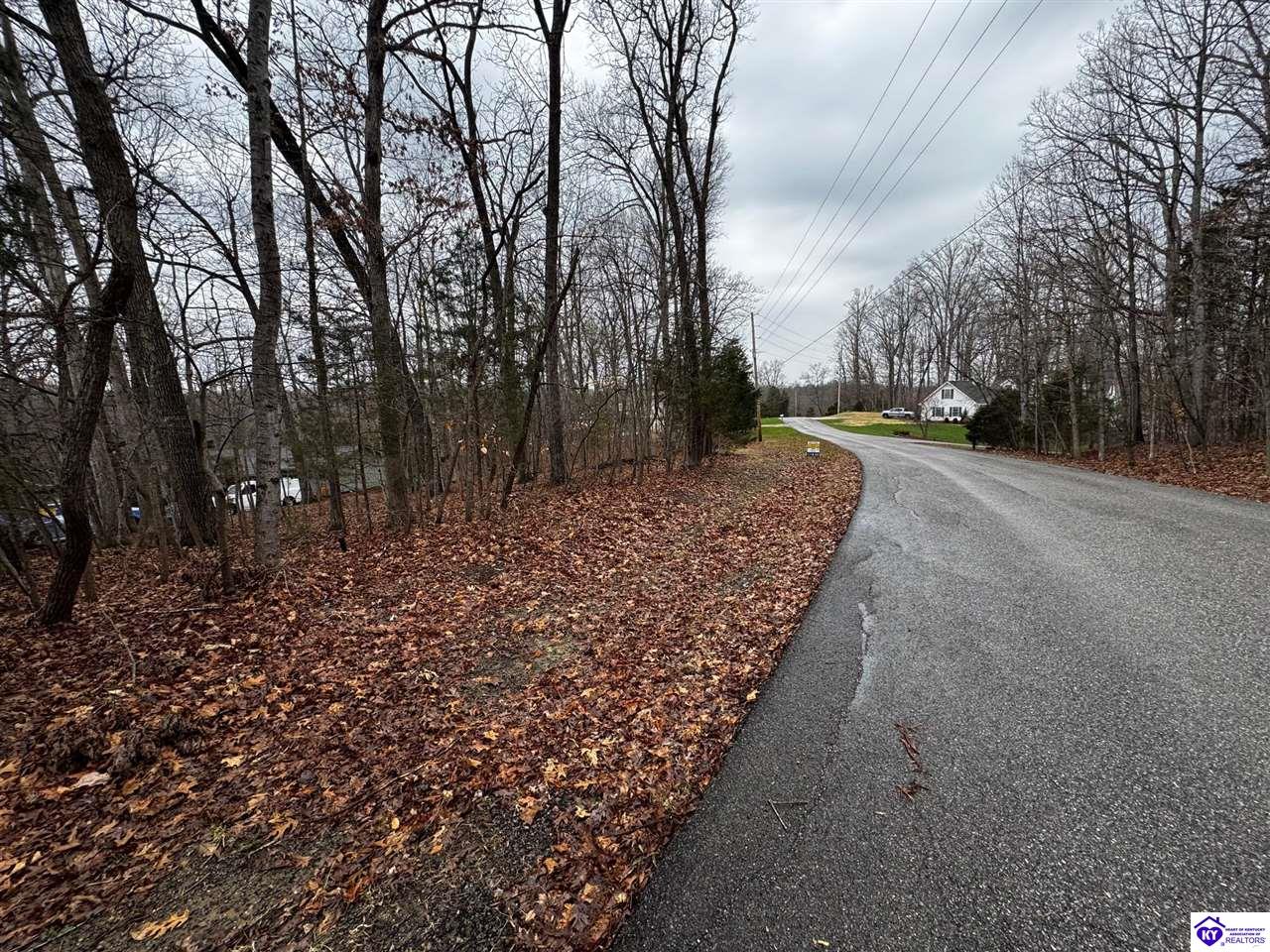 874 Wildflower Ridge RoadBrandenburg, KY 40108
