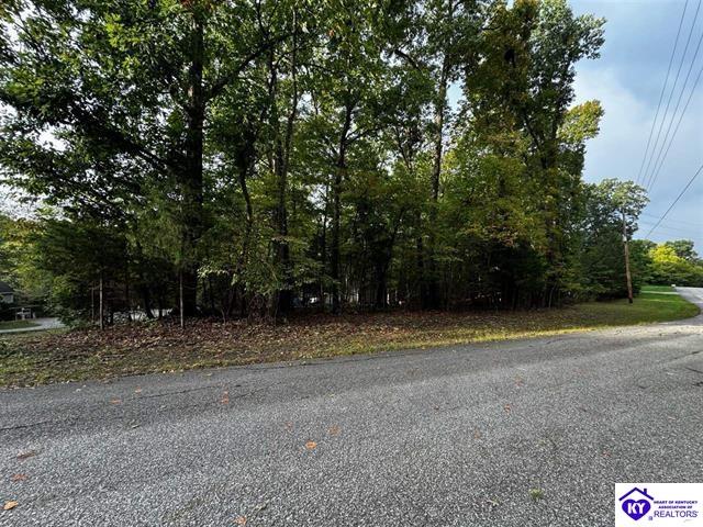 874 Wildflower Ridge Road Brandenburg, KY 40108 #1