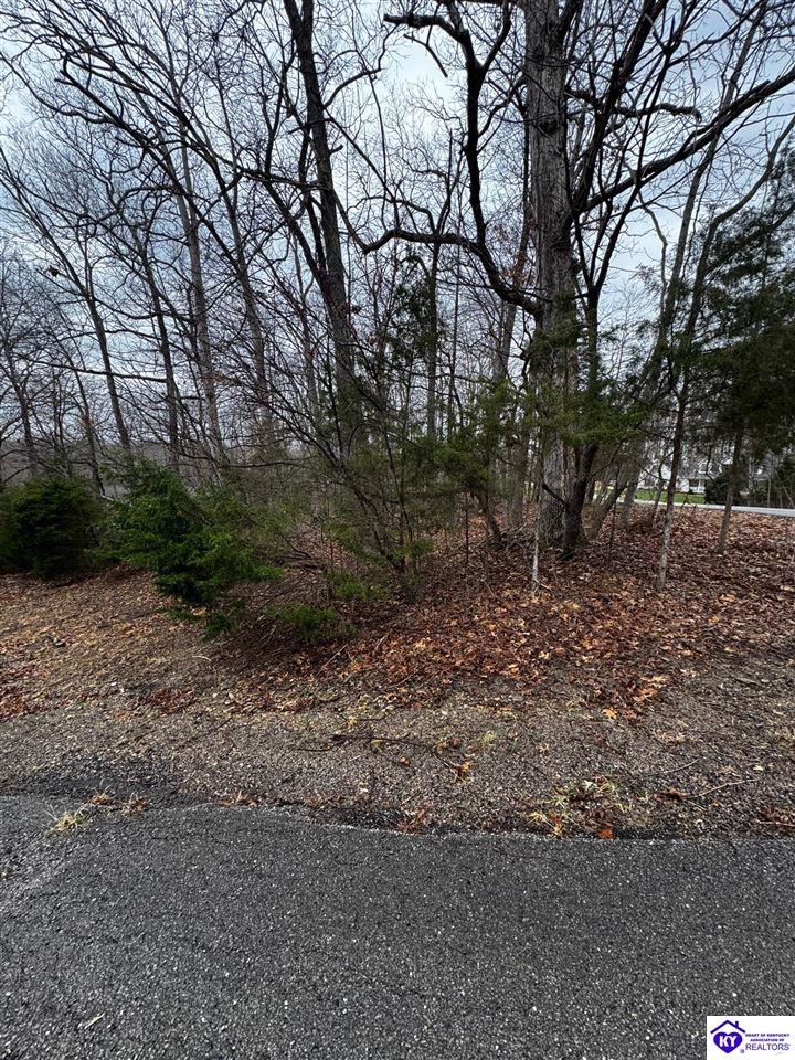 874 Wildflower Ridge Road Brandenburg, KY 40108 #2