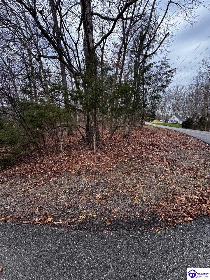 874 Wildflower Ridge Road Brandenburg, KY 40108 #3