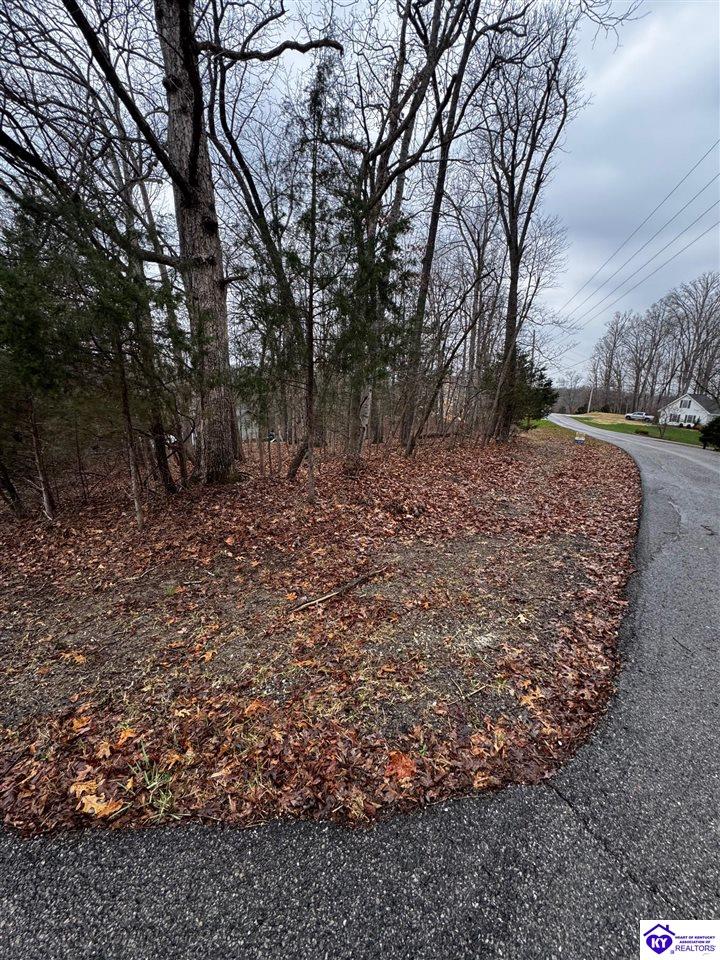 874 Wildflower Ridge Road Brandenburg, KY 40108 #4