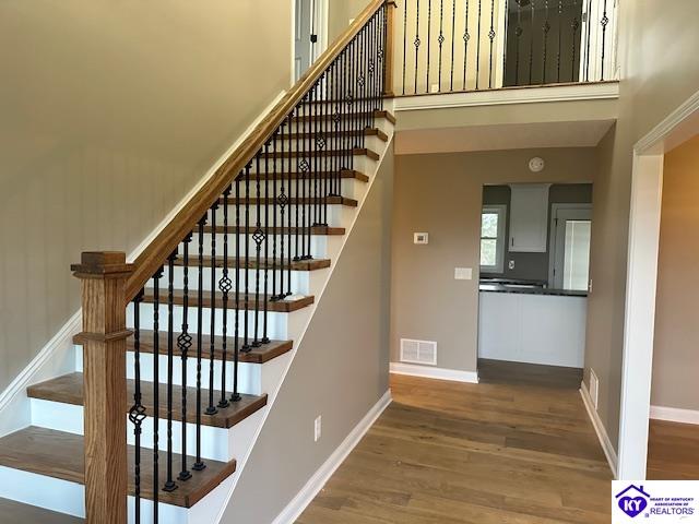 Listing Picture 284 S Boundary Road Elizabethtown, KY 42701 MLS HK25000603