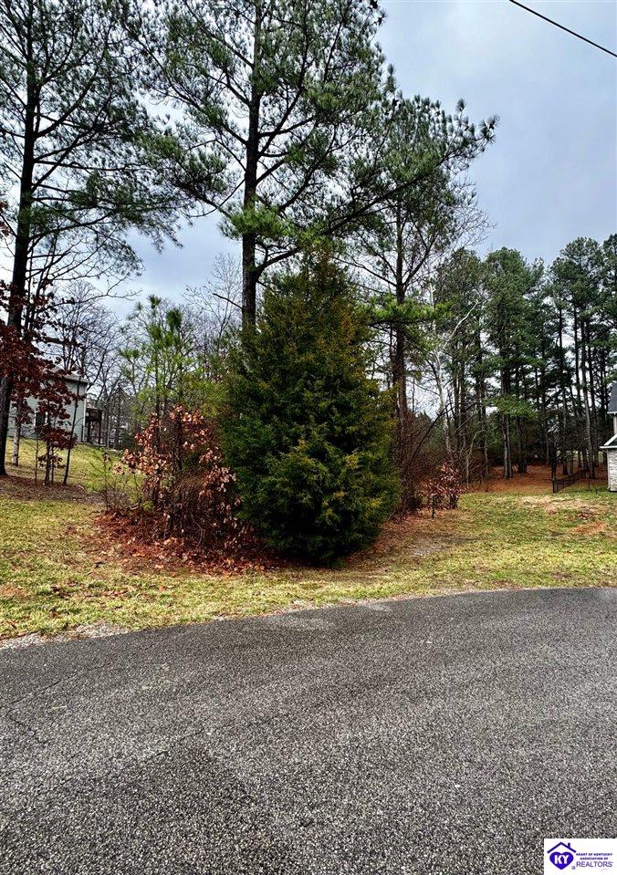 Lot 51 Valhalla CourtBrandenburg, KY 40108