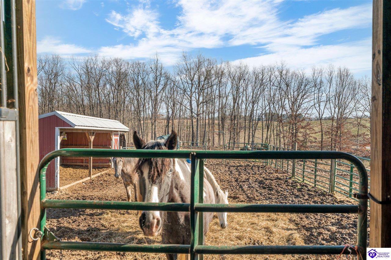 Listing Picture 128 Tupelo Road Mammoth Cave, KY 42259 MLS HK25000693