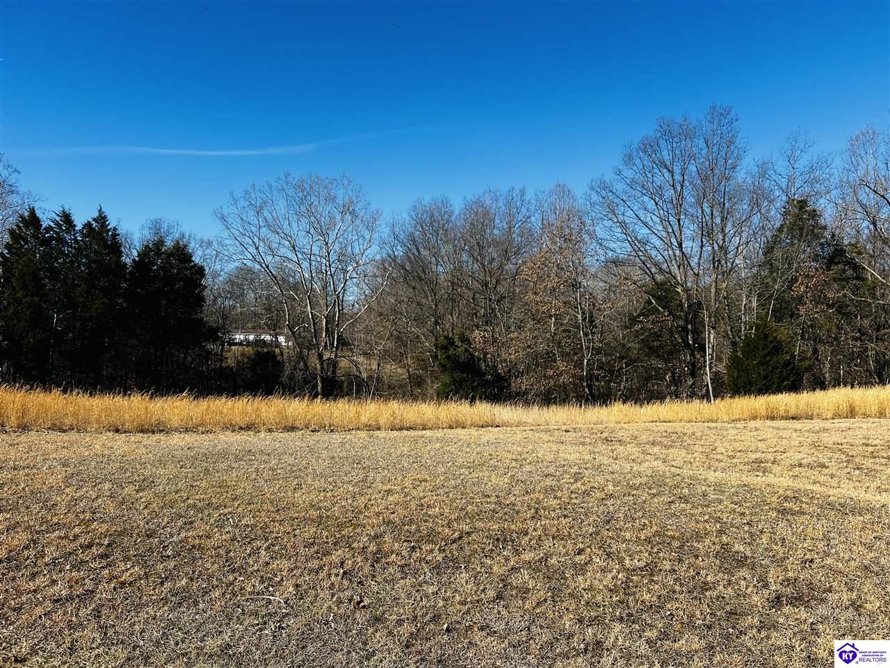 12 Browning DriveVine Grove, KY 40175