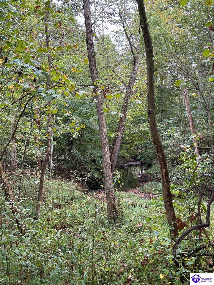 155 Foggy Bottom LaneGarfield, KY 40140