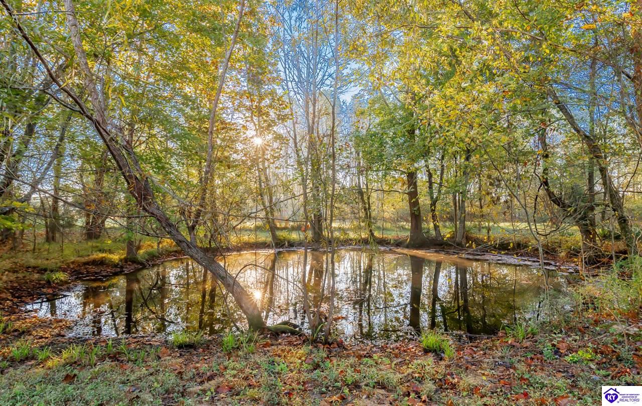 Listing Picture 1500 Rocky Hill Estates Road Clarkson, KY 42726 MLS HK25000808