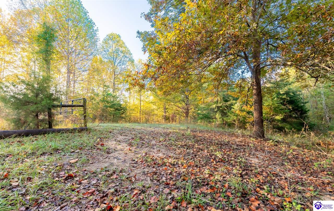 Listing Picture 1500 Rocky Hill Estates Road Clarkson, KY 42726 MLS HK25000808