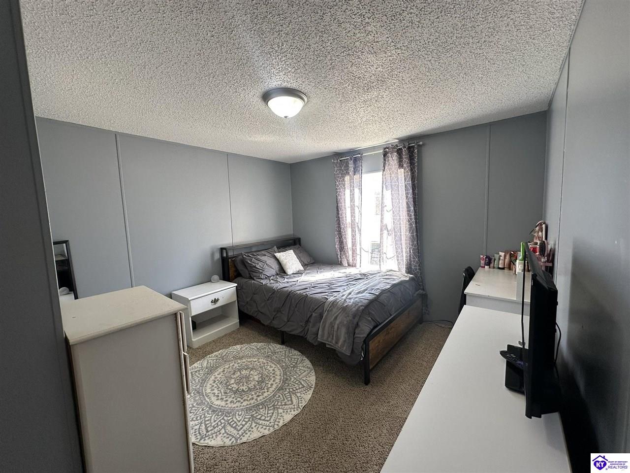 Listing Picture 1105 Greer Road Payneville, KY 40157 MLS HK25000843