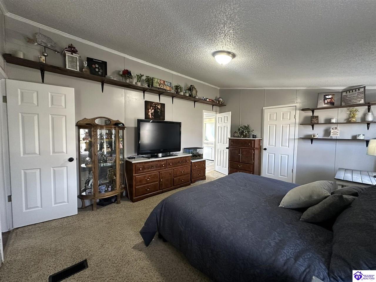 Listing Picture 1105 Greer Road Payneville, KY 40157 MLS HK25000843