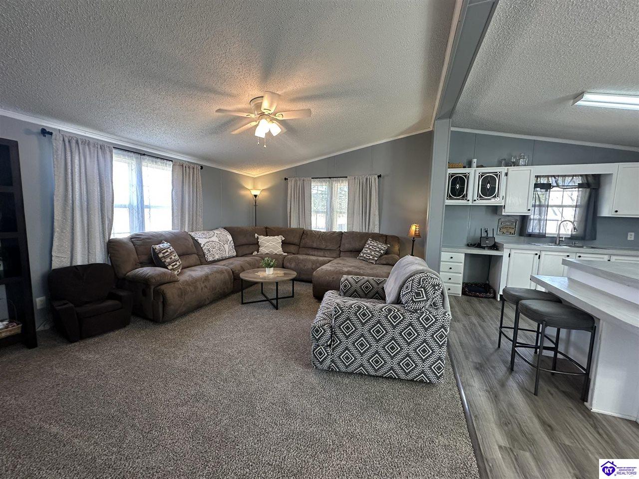 Listing Picture 1105 Greer Road Payneville, KY 40157 MLS HK25000843